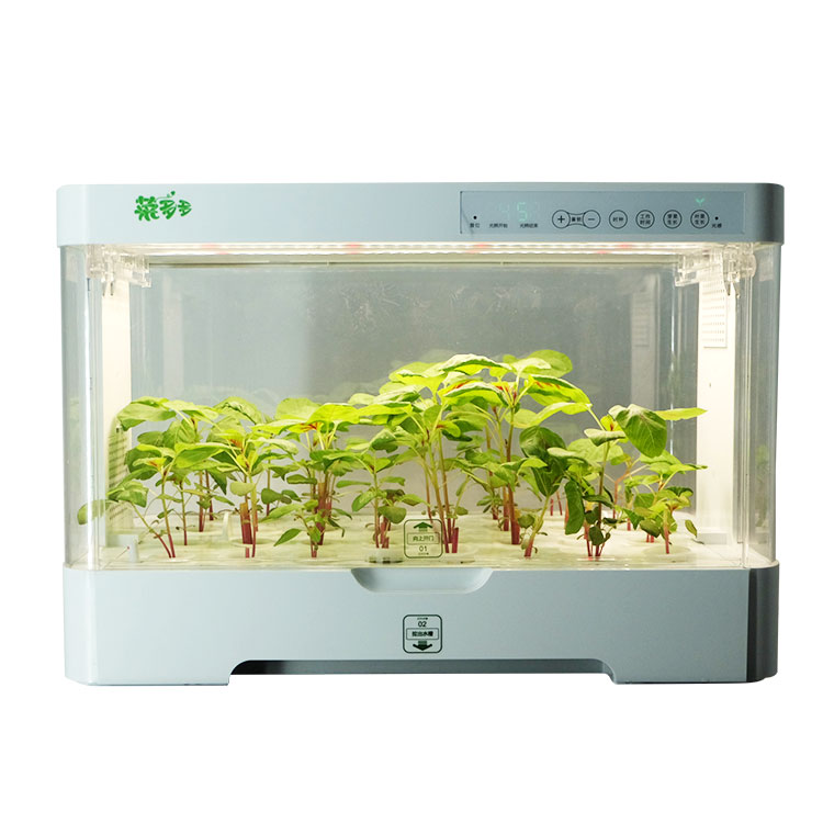 Hydroponic Kit - Pequeno Armário Inteligente de Plástico para