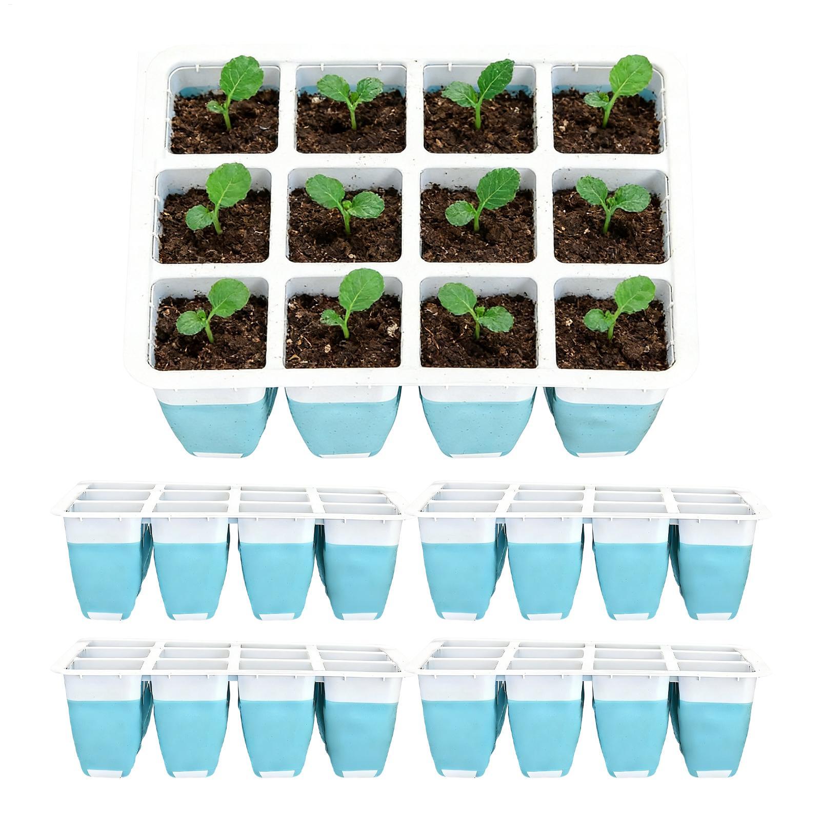 Seed Starter Tray - Kit de Germinação de Sementes em