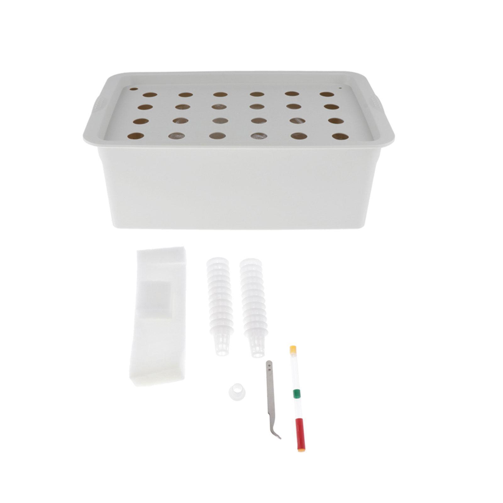 Hydroponic Kit - Sistema de cultivo hidropônico sem solo
