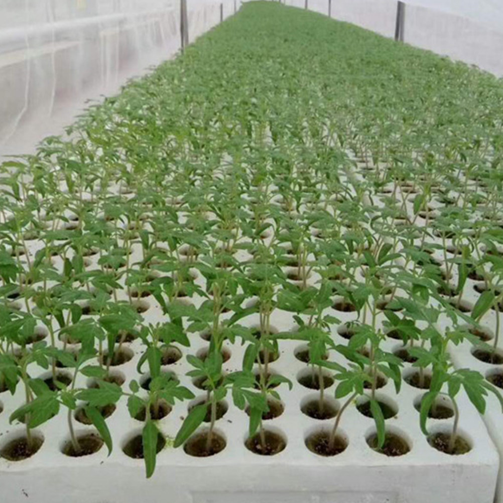 40 peças de cubos de lã para c - Hydroponic Kit avaliação e preço