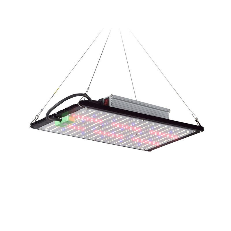 Luz de Cultivo LED Quantum-Boa - Grow Light Led avaliação e preço