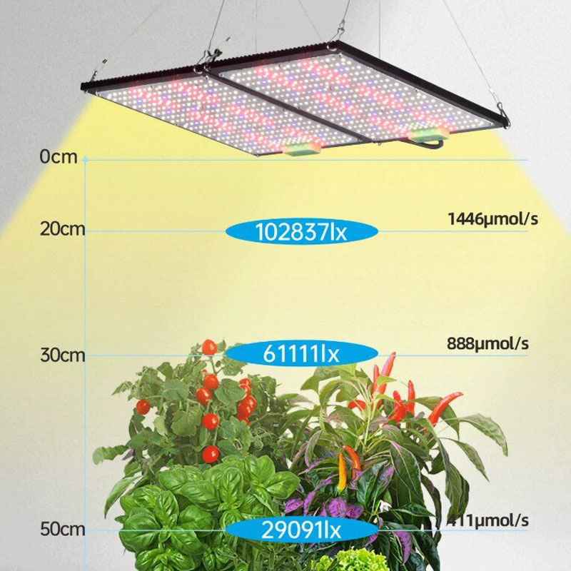 Luz de Cultivo LED Quantum-Boa - Grow Light Led avaliação e preço