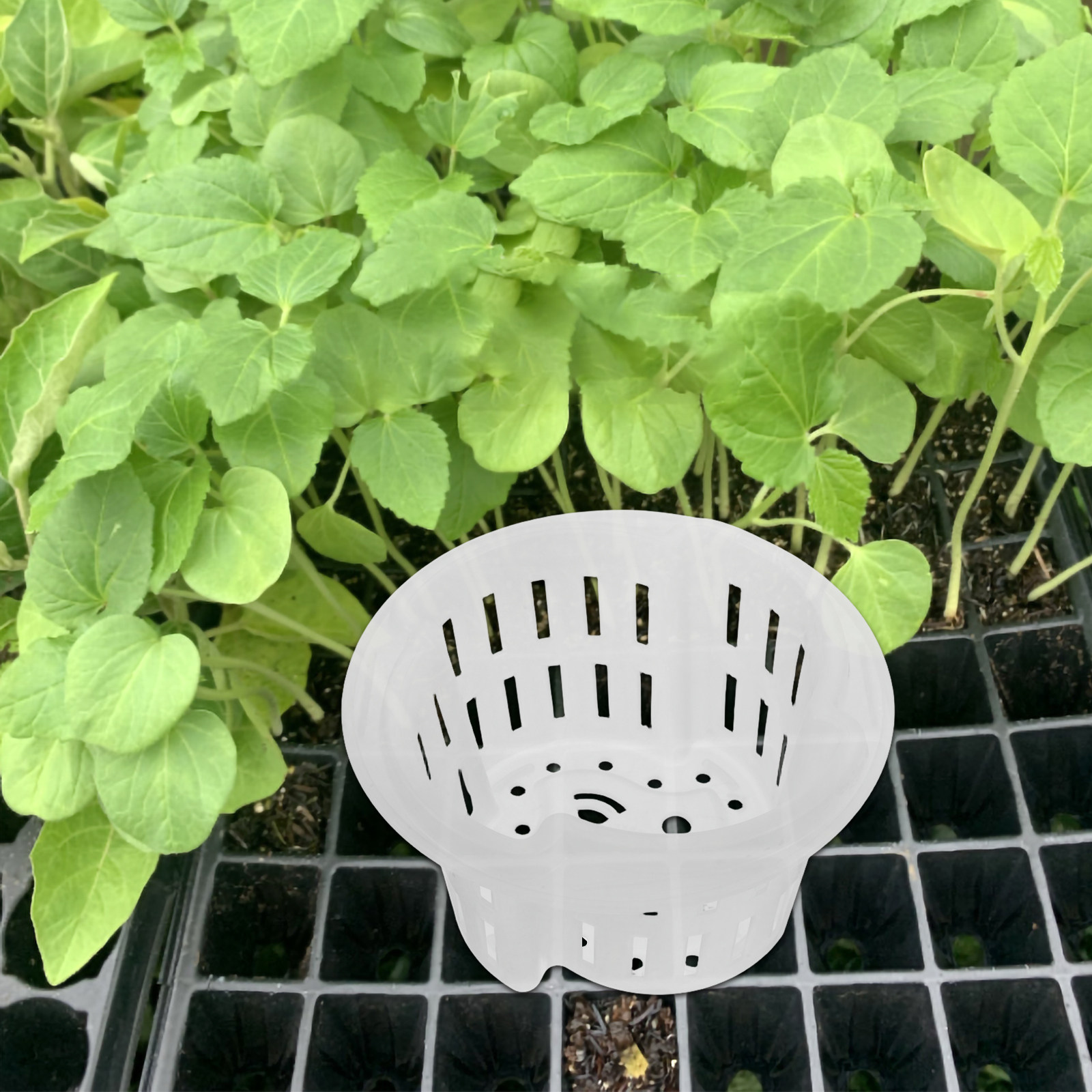 4 vasos de plástico reforçado  - Plant Pot avaliação e preço