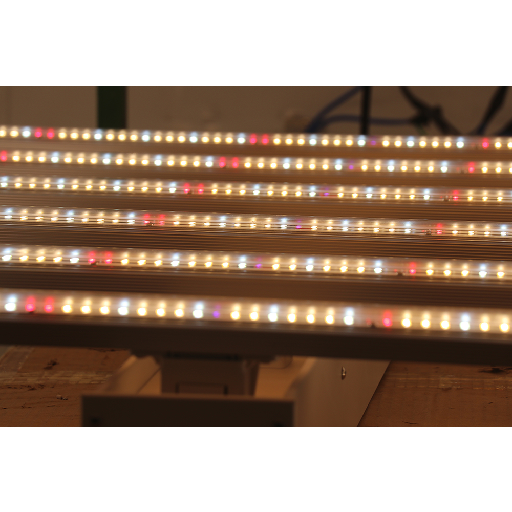 Lâmpadas LED para Cultivo de P - Grow Light Led avaliação e preço