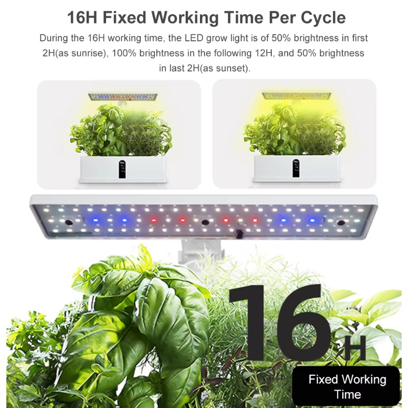 Sistema de Cultivo Hidropônico - Hydroponic Kit avaliação e preço