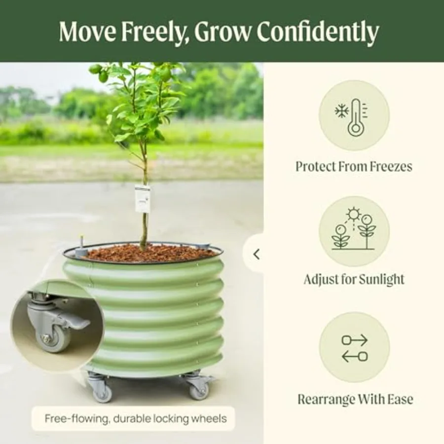 Vaso de plantio para cítricos  - Self Watering Planter avaliação e preço