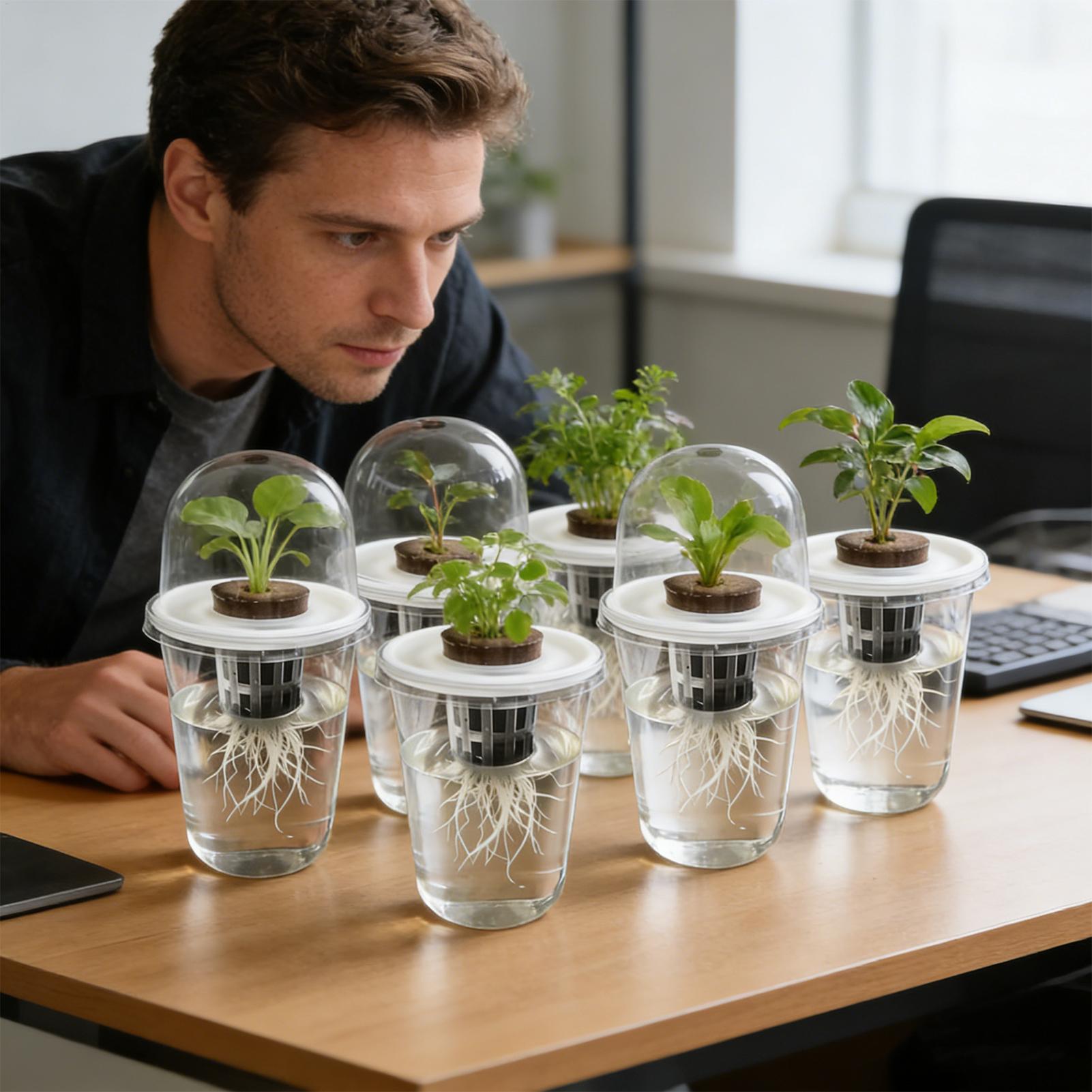 1-5 unidades Copos de Germinaç - Seed Starter Tray avaliação e preço