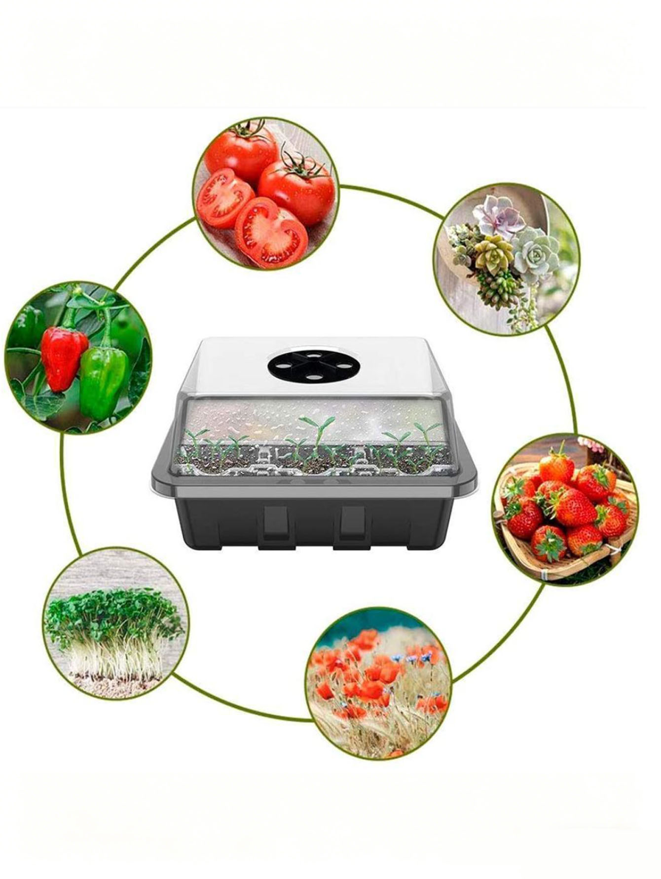 Bandeja para Mudas de 6/12 Fur - Seed Starter Tray avaliação e preço