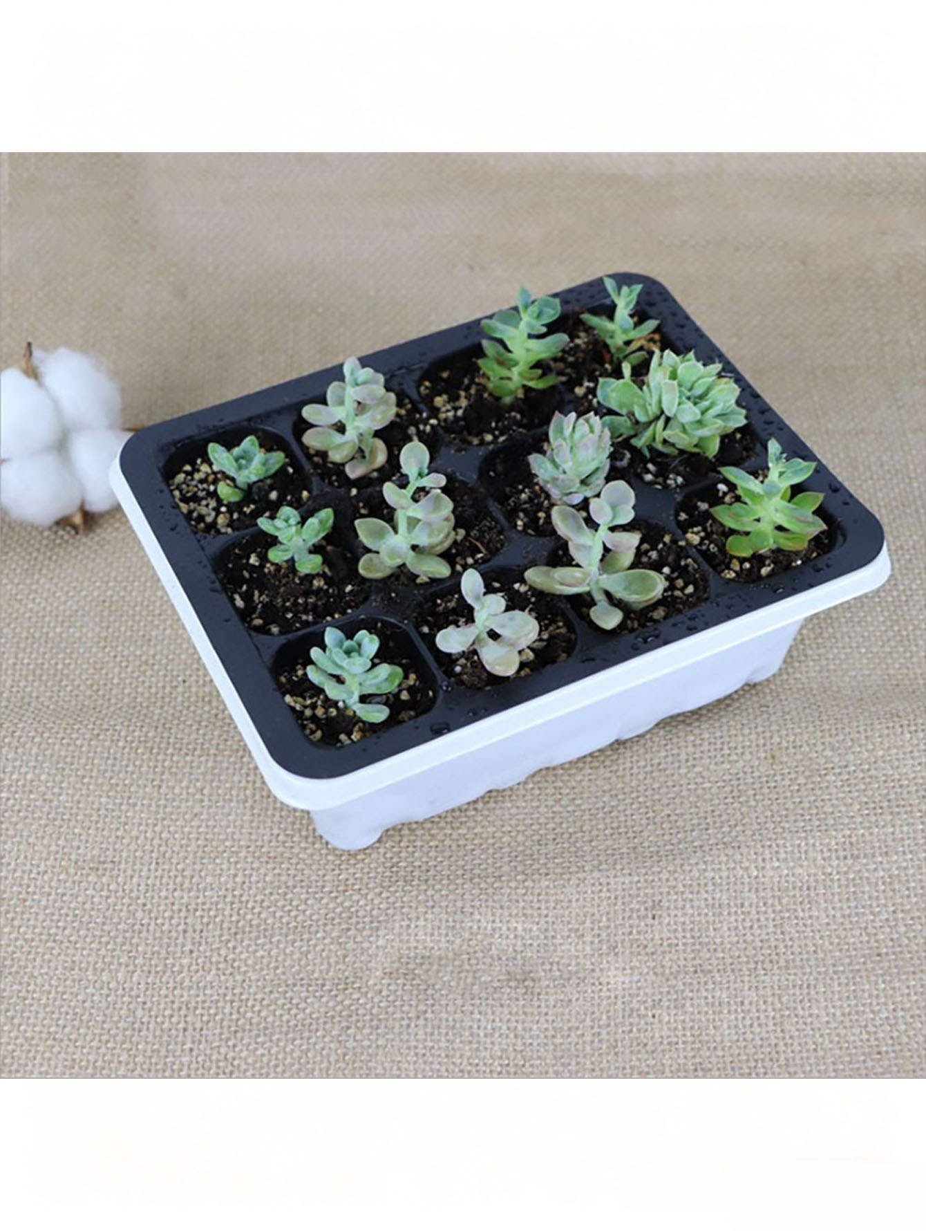 Bandeja para Mudas de 6/12 Fur - Seed Starter Tray avaliação e preço