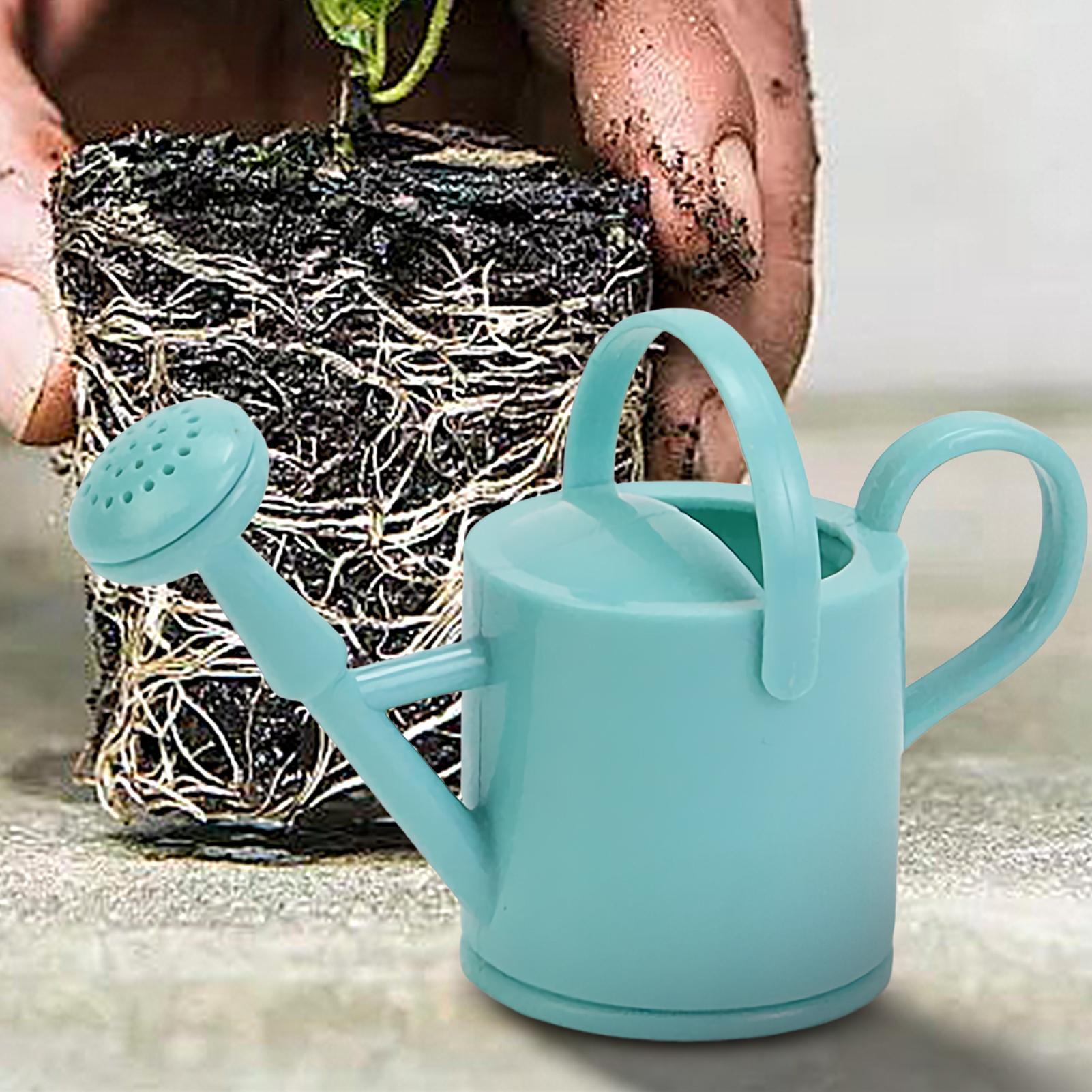 1 unidade Regador Pequeno para - Watering Can avaliação e preço