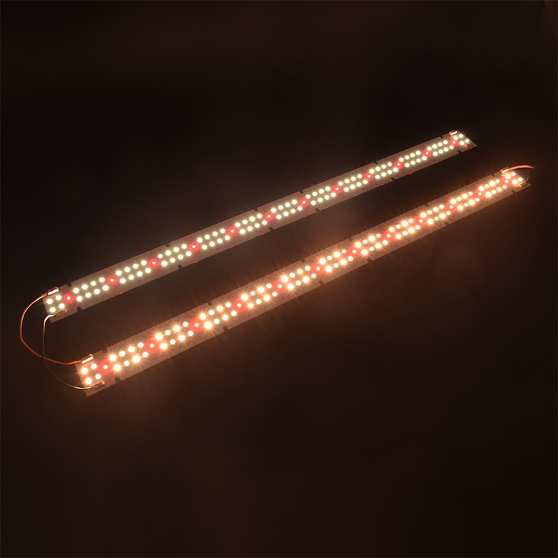 Luz de Cultivo LED COB de Alta - Grow Light Led avaliação e preço