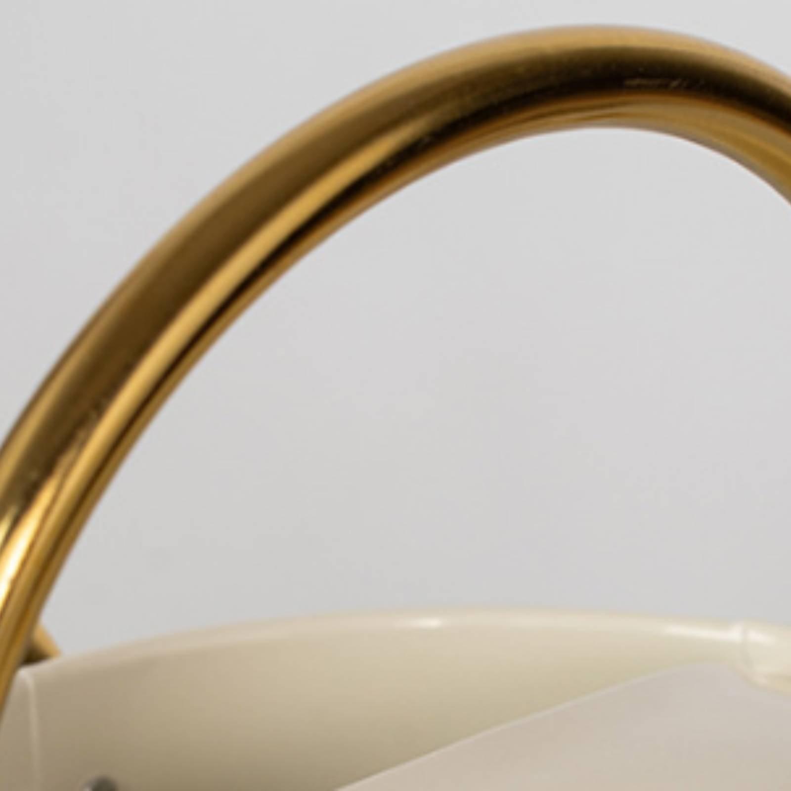 Regador de metal à prova de va - Watering Can avaliação e preço